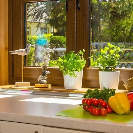 Naturstammhaus Mika Semesterbostad Koserow